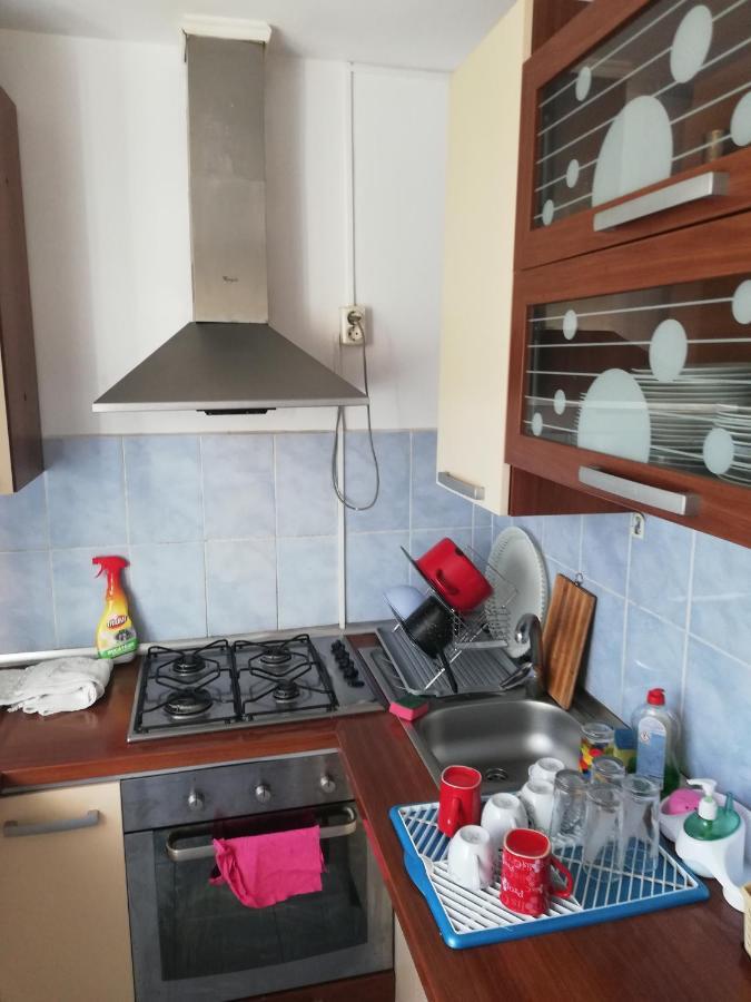Pensiunea Io-Mara Dornavátra Kültér fotó